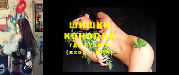 PSILOCYBIN Балабаново
