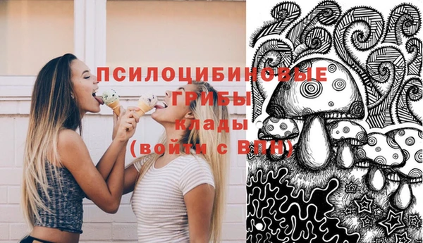 гидра Балахна