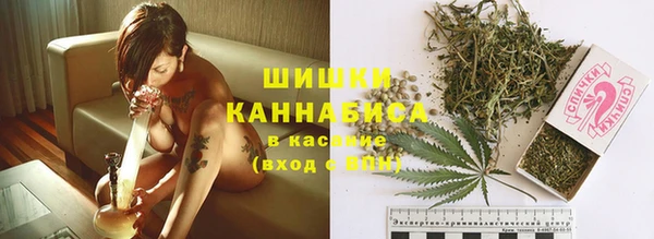 PSILOCYBIN Балабаново