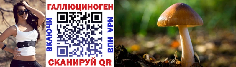 купить наркоту  Белинский  Галлюциногенные грибы прущие грибы 